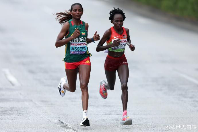 塔图姆波神,半场合力得,凯尔特人一,爱游戏,AiYouXi,爱游戏体育官网,爱游戏官网,爱游戏体育下载